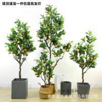 uploads/erp/collection/images/Home Garden/dgjiawang/XU0612825/img_b/XU0612825_img_b_1